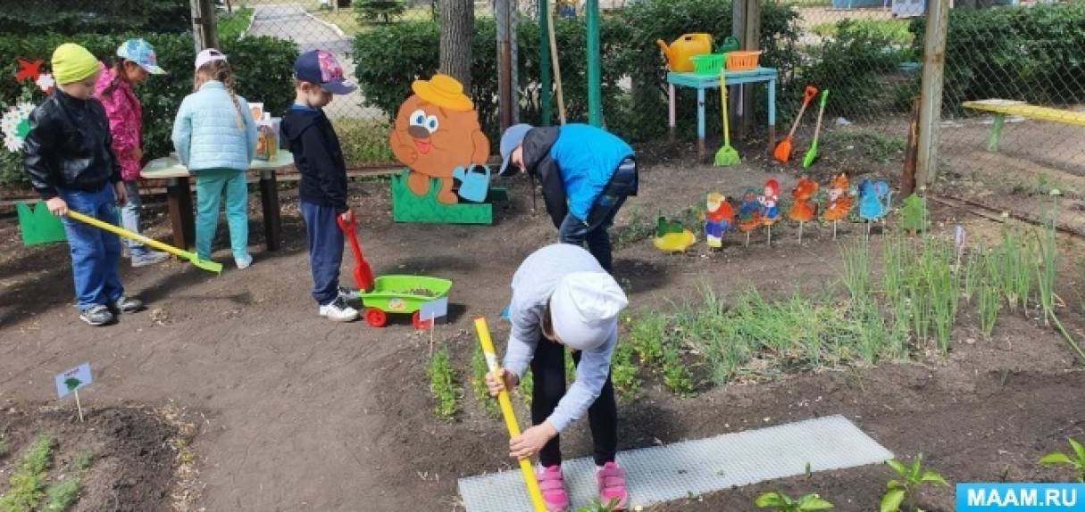 Трудовая деятельность на прогулке в старшей группе