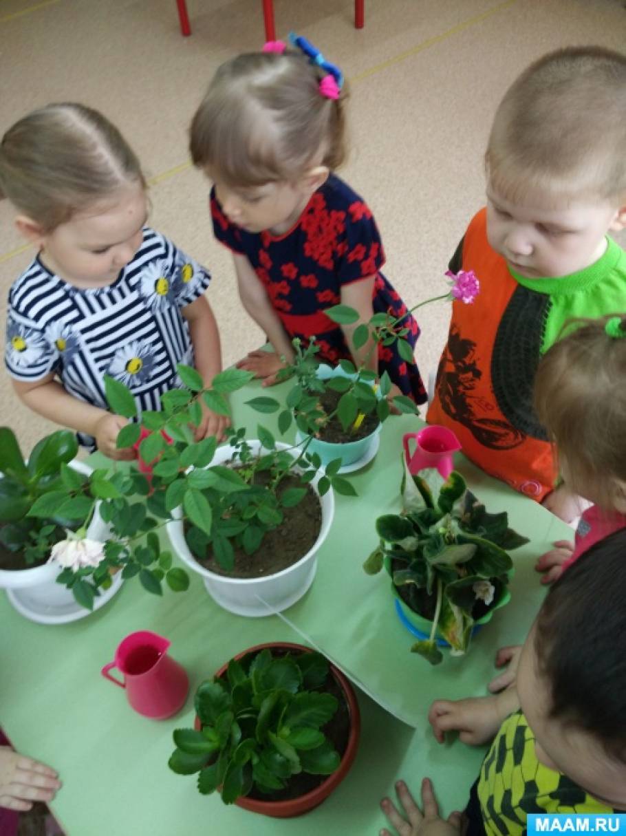 комнатные растения в младшей группе детского сада. что нужно растениям. комнатные растения в доу. комнатные растения в детском саду. комнатные цветы советских времен.