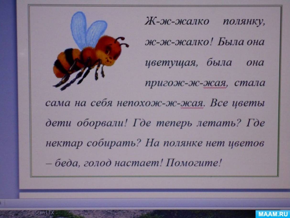 По страницам «Жалобной книги природы». Жалоба от пчелки Фото По страницам «Жалобной книги природы». Жалоба от пчелки