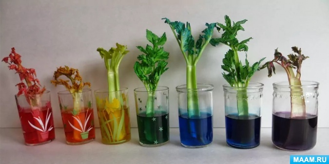 Что можно исследовать с ребенком 5 лет