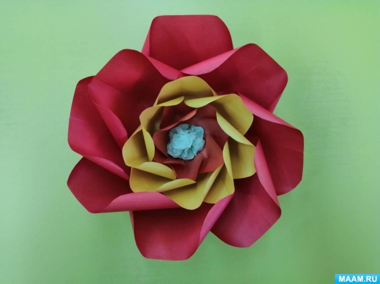 Мастер-класс по изготовлению больших цветов из бумаги для оформления помещений «Цветы из бумаги»