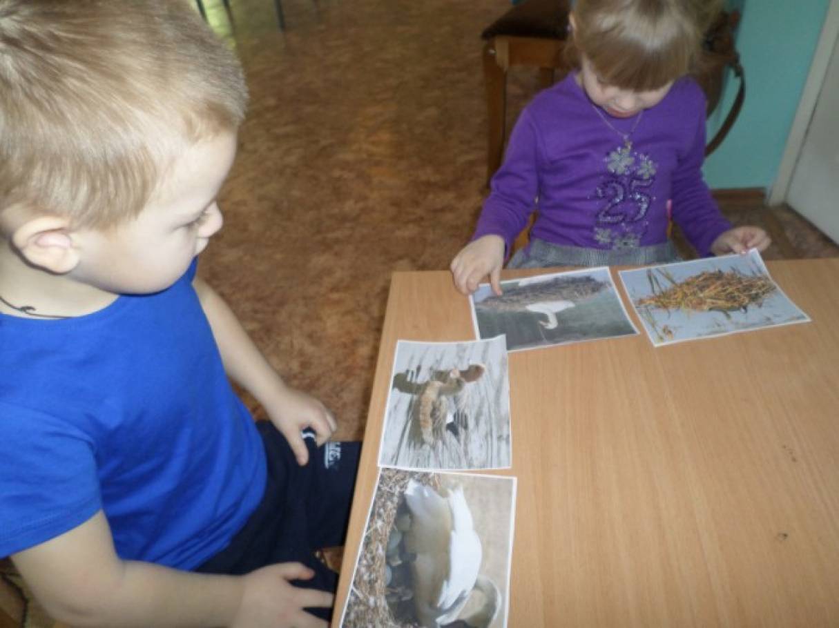 Природоохранная акция перелетные птицы. Смотреть фото Природоохранная акция перелетные птицы. Смотреть картинку Природоохранная акция перелетные птицы. Картинка про Природоохранная акция перелетные птицы. Фото Природоохранная акция перелетные птицы