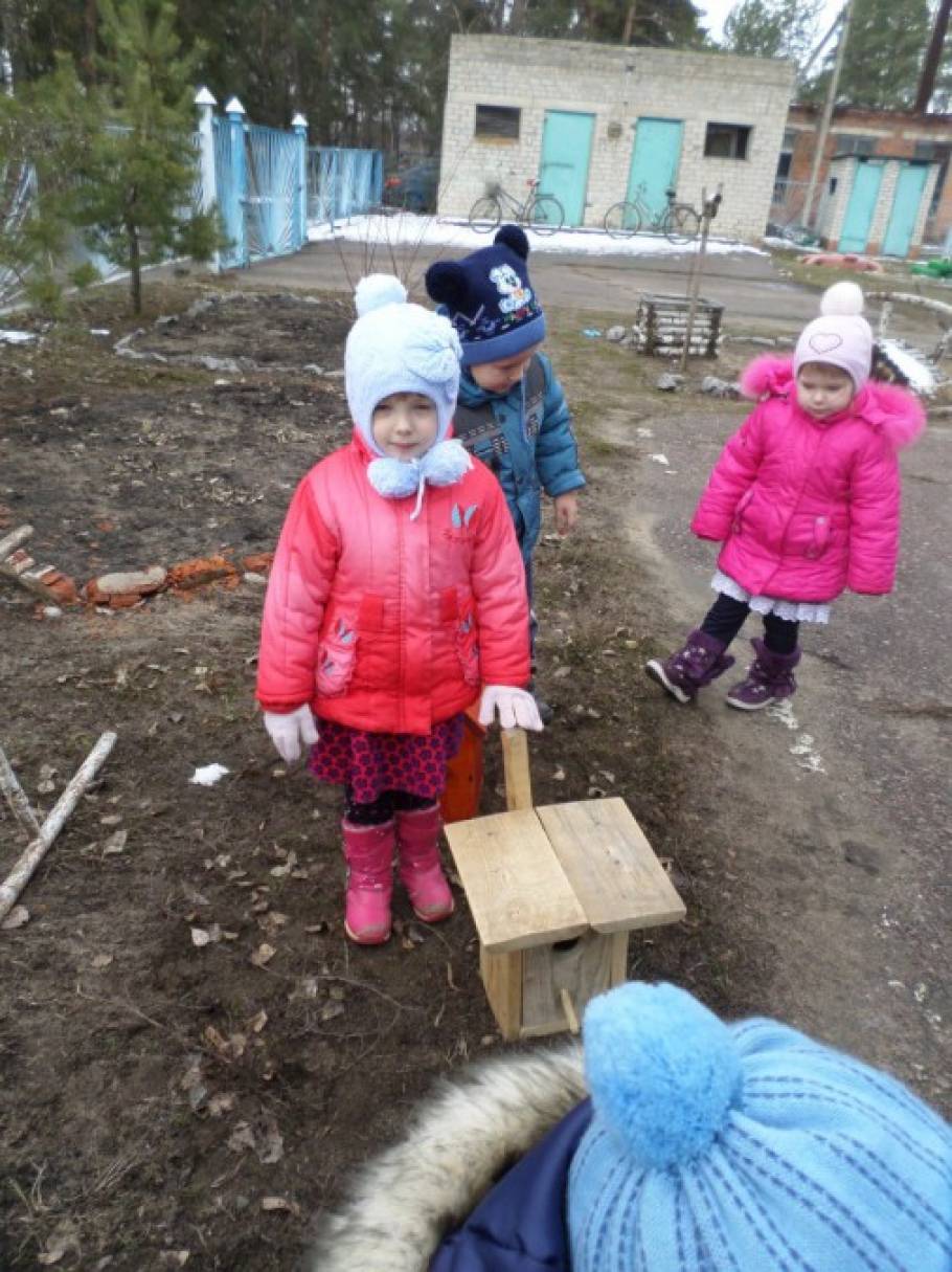 Природоохранная акция перелетные птицы. Смотреть фото Природоохранная акция перелетные птицы. Смотреть картинку Природоохранная акция перелетные птицы. Картинка про Природоохранная акция перелетные птицы. Фото Природоохранная акция перелетные птицы