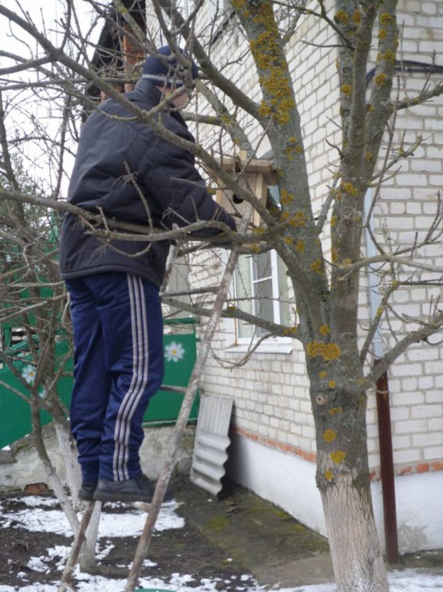 Природоохранная акция перелетные птицы. Смотреть фото Природоохранная акция перелетные птицы. Смотреть картинку Природоохранная акция перелетные птицы. Картинка про Природоохранная акция перелетные птицы. Фото Природоохранная акция перелетные птицы