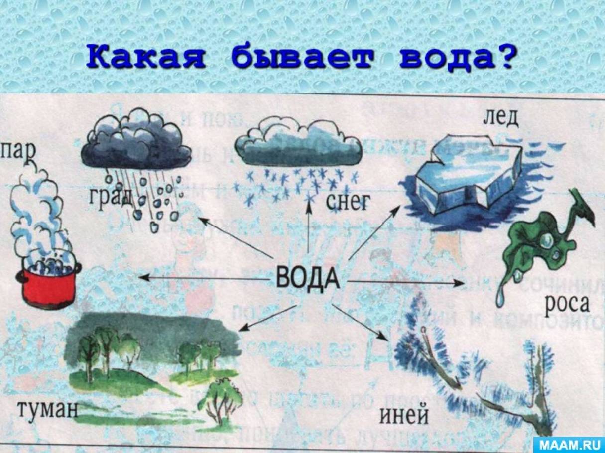 Конспект открытого занятия в средней группе «Волшебница вода». Воспитателям детских садов, школьным учителям и педагогам - Маам.ру