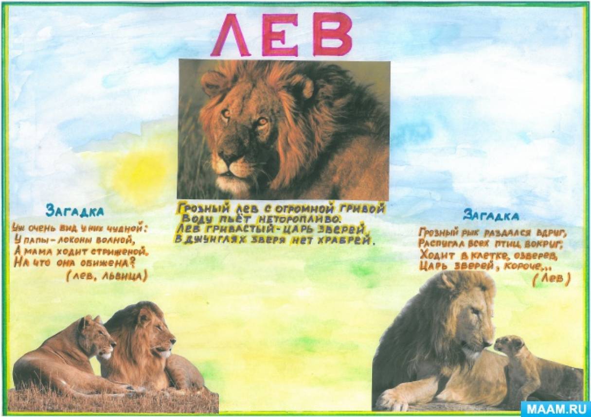 Лев подбери признак. Загадка про Льва. Загадка про Льва для детей. Ллевев загадки для детей. Загадки про животных Лев.