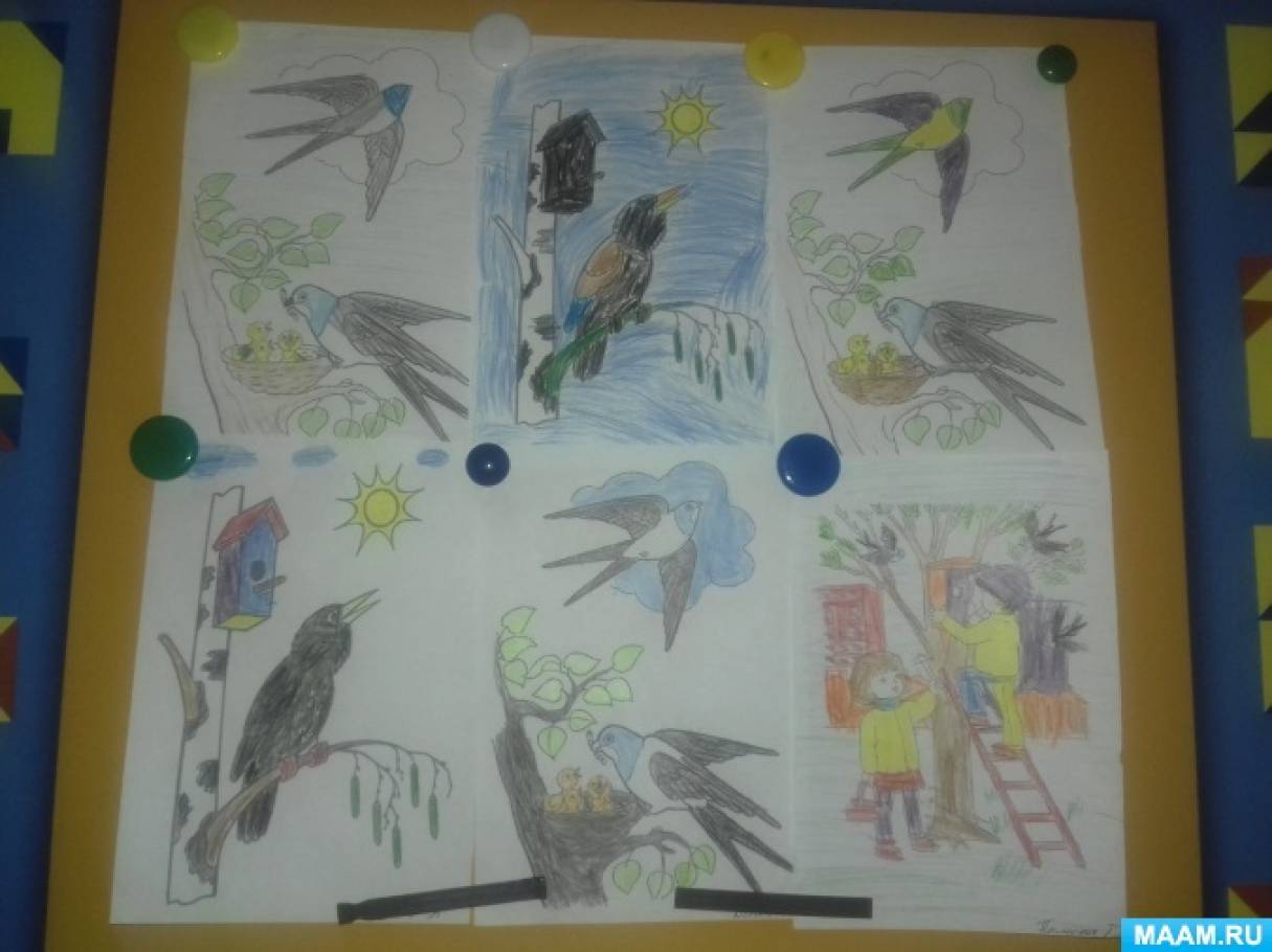 Фотоотчет день птиц в детском саду. Рисунок на тему 1 апреля день птиц. 1 Апреля день птиц в средней группе. Дни недели птицы.