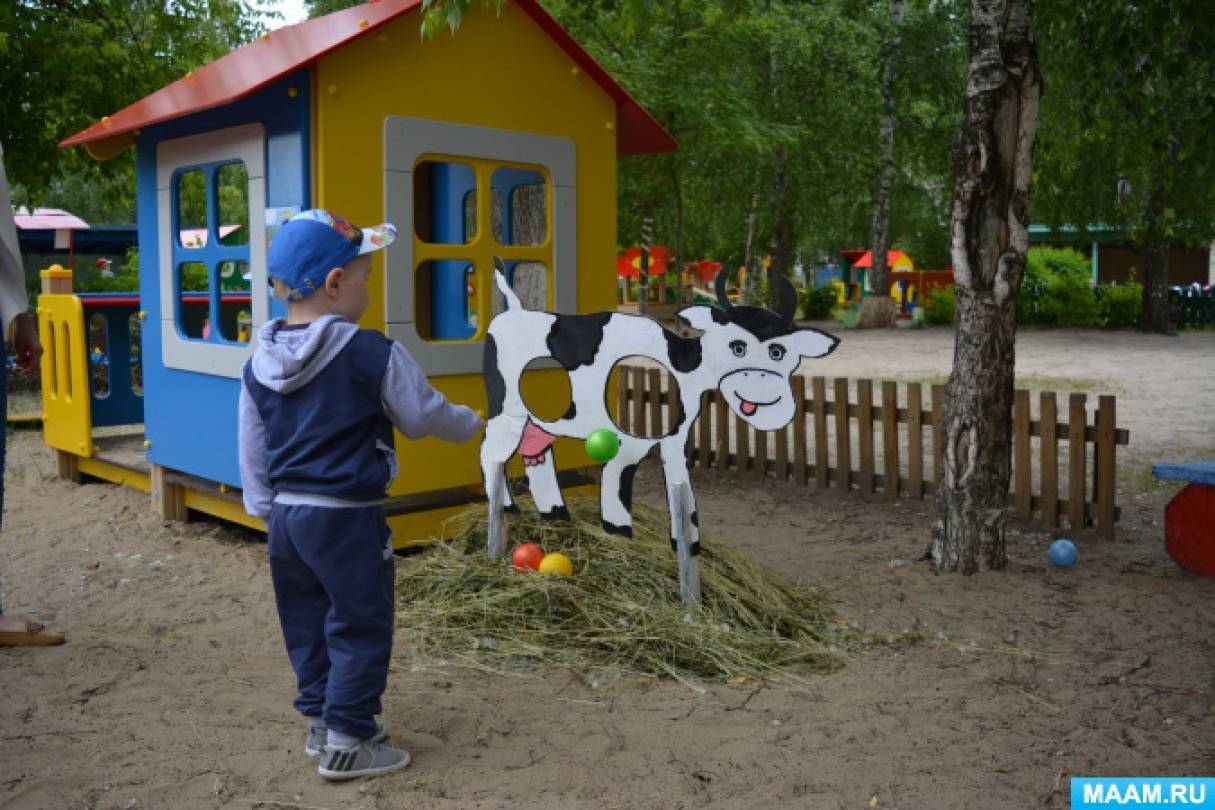 Среда развития ребенка в доу в летний период