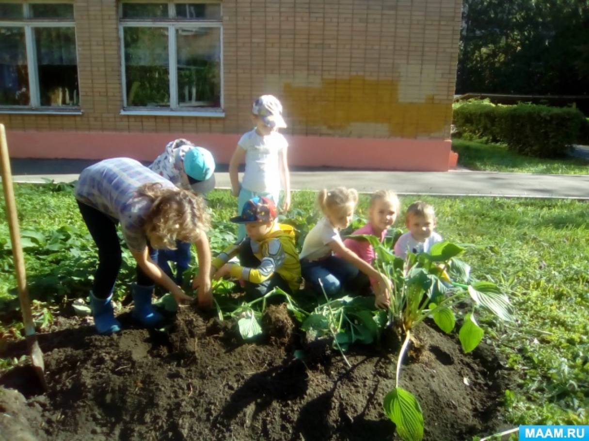Фотоотчет об экологической акции «Посади дерево» Фото Фотоотчет об экологической акции «Посади дерево»