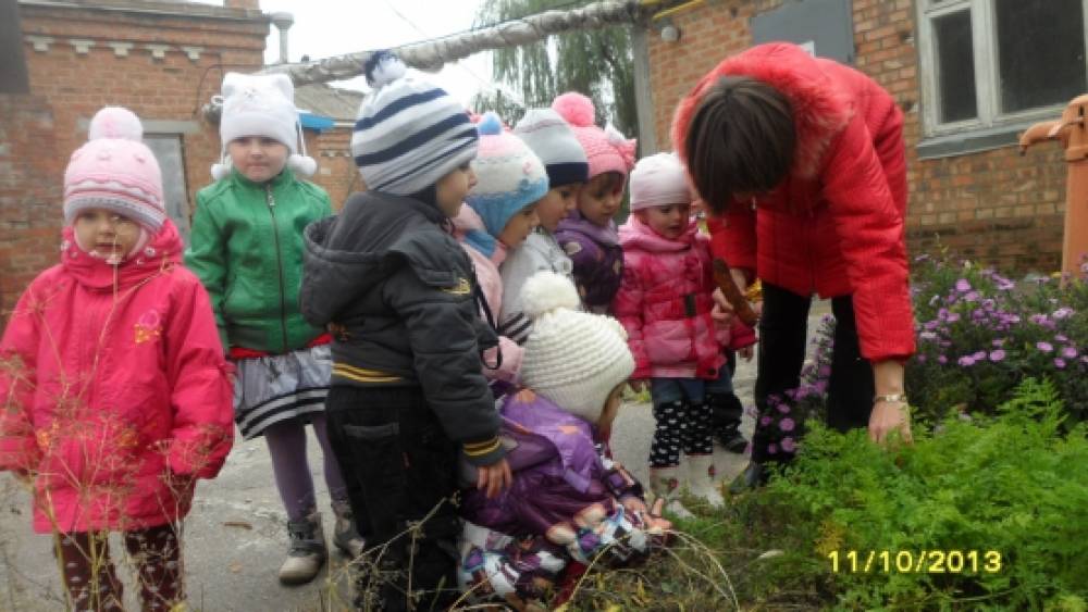 Целевая прогулка на огород Фото Целевая прогулка на огород