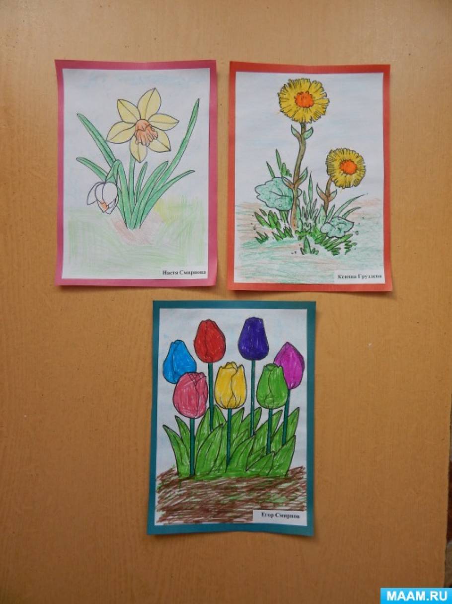Рисование первоцветы старшая группа. Рисуем первоцветы старшая группа. Рисование первоцветы в средней группе. Рисунок первоцветы в детский сад.