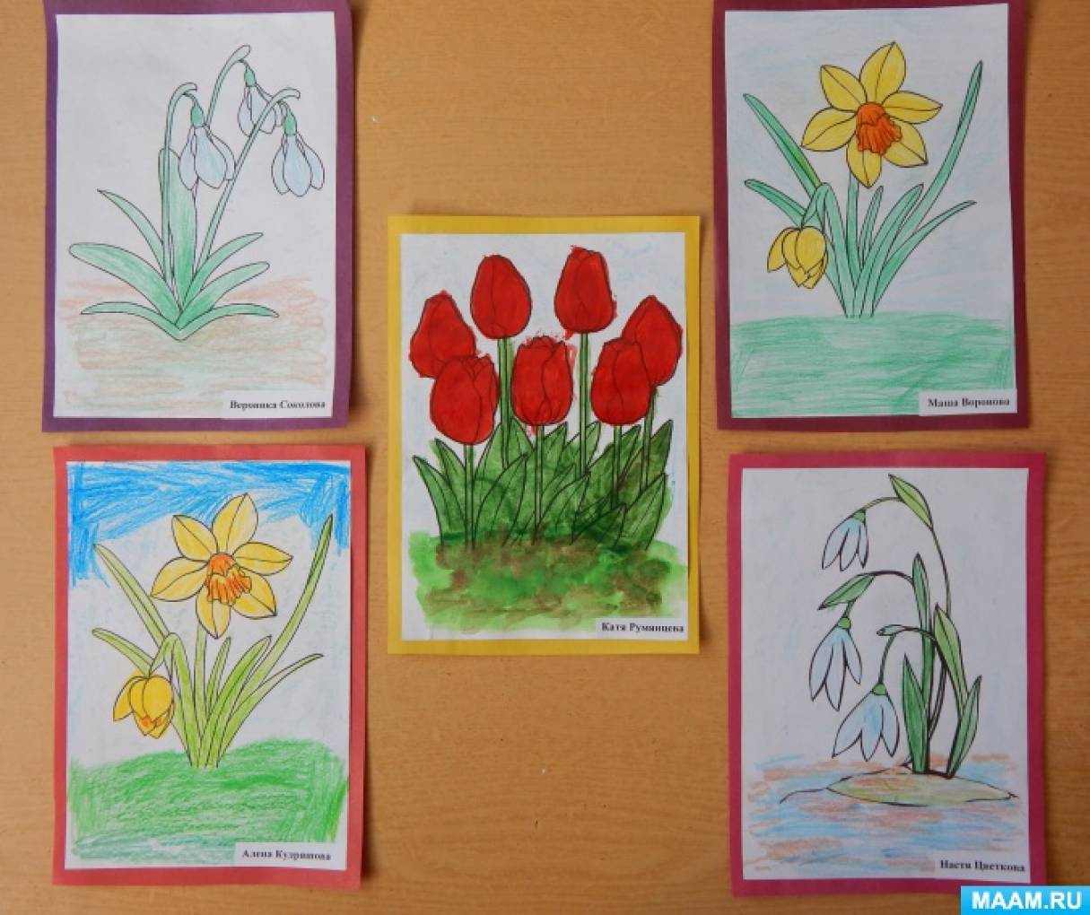 Рисование первоцветы старшая группа. Рисование весенних цветов в старшей группе. Рисование в подг гр весенние цветы. Рисование первоцветы в подготовительной группе.