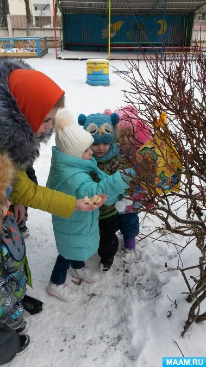 Оказание помощи пернатым зимой. Кормушка для птиц Фото Оказание помощи пернатым зимой. Кормушка для птиц
