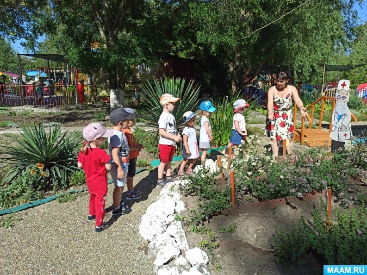 беседа что такое лекарственные растения средняя группа. Смотреть фото беседа что такое лекарственные растения средняя группа. Смотреть картинку беседа что такое лекарственные растения средняя группа. Картинка про беседа что такое лекарственные растения средняя группа. Фото беседа что такое лекарственные растения средняя группа беседа что такое лекарственные растения средняя группа. Смотреть фото беседа что такое лекарственные растения средняя группа. Смотреть картинку беседа что такое лекарственные растения средняя группа. Картинка про беседа что такое лекарственные растения средняя группа. Фото беседа что такое лекарственные растения средняя группа