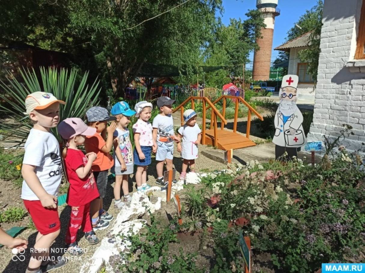 беседа что такое лекарственные растения средняя группа. Смотреть фото беседа что такое лекарственные растения средняя группа. Смотреть картинку беседа что такое лекарственные растения средняя группа. Картинка про беседа что такое лекарственные растения средняя группа. Фото беседа что такое лекарственные растения средняя группа беседа что такое лекарственные растения средняя группа. Смотреть фото беседа что такое лекарственные растения средняя группа. Смотреть картинку беседа что такое лекарственные растения средняя группа. Картинка про беседа что такое лекарственные растения средняя группа. Фото беседа что такое лекарственные растения средняя группа