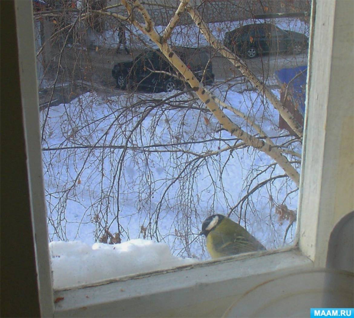 Ветка стучит в окно