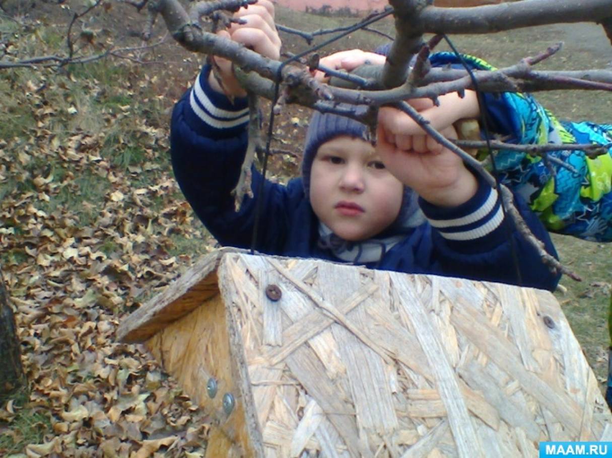 Фотоотчёт о подготовке к Синичкиному Дню в группе дошкольного образования Фото Фотоотчёт о подготовке к Синичкиному Дню в группе дошкольного образования