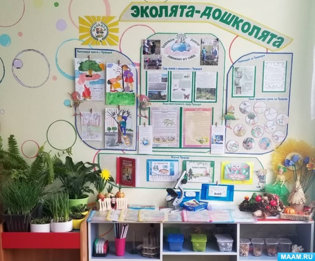 лучший стенд уголок эколята дошколята. Смотреть фото лучший стенд уголок эколята дошколята. Смотреть картинку лучший стенд уголок эколята дошколята. Картинка про лучший стенд уголок эколята дошколята. Фото лучший стенд уголок эколята дошколята