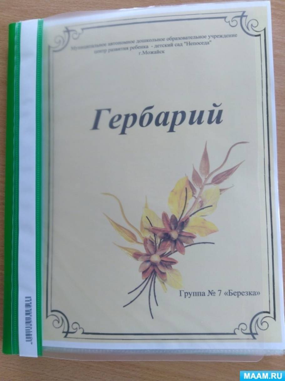 Ребенку в детский сад гербарий что сделать