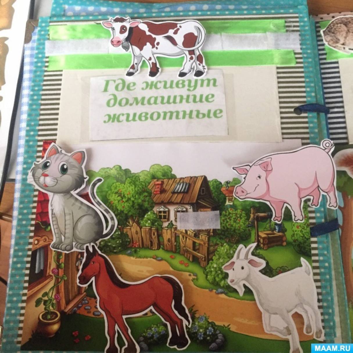 Лэпбук «Дикие и домашние животные» (7 фото). Воспитателям детских садов ...