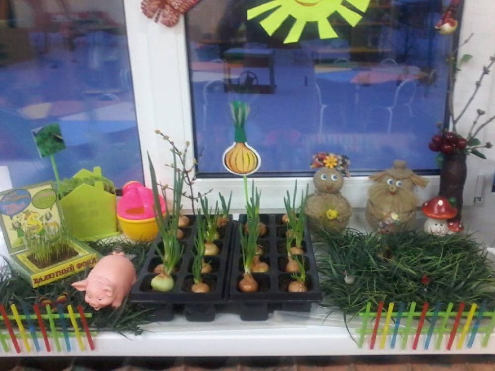 Огород на окне лук в детском саду. Огород на окне в детском саду. Огород на подоконнике в детском. Огород на окне в детском саду оформление. Огород на окошке в детском саду.