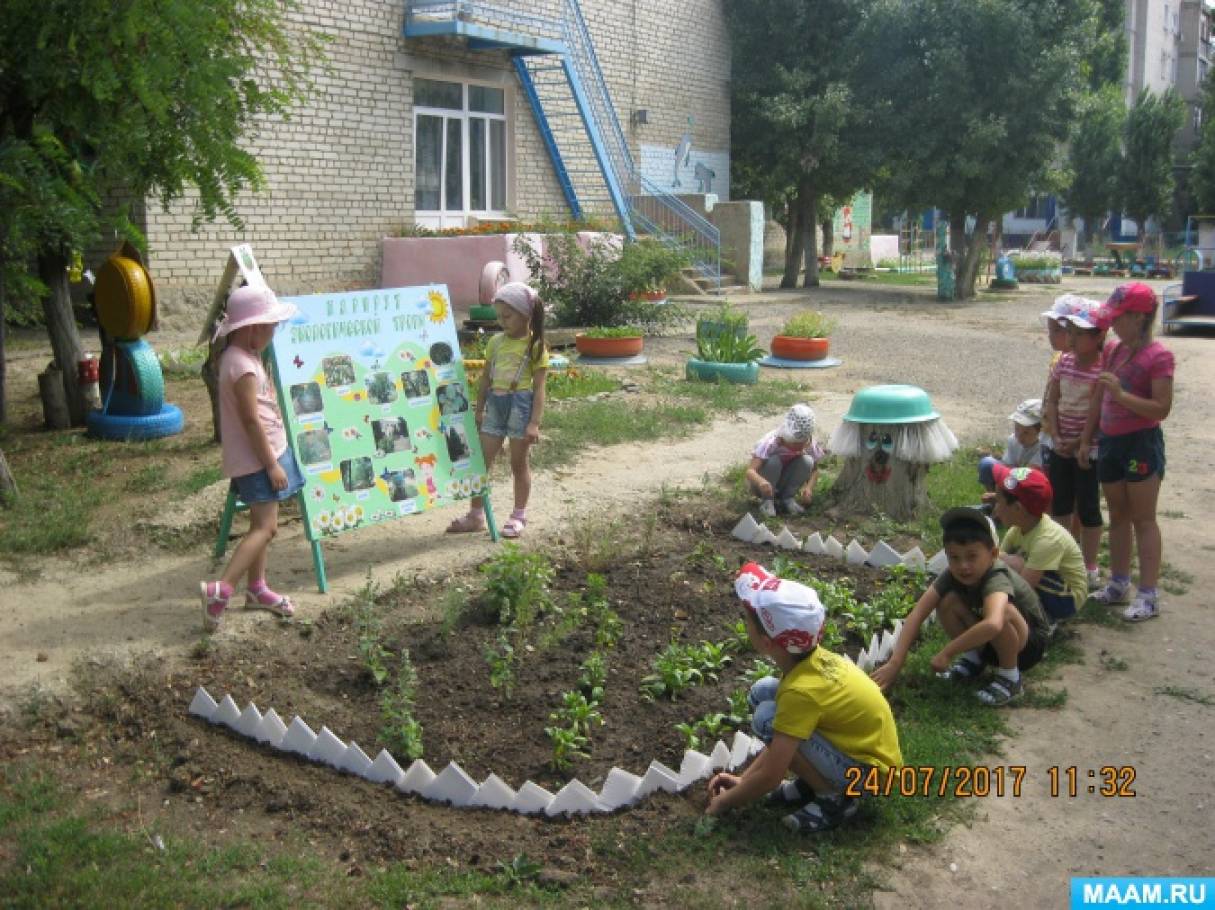 Экологическая Тропа В Детском Саду Фото