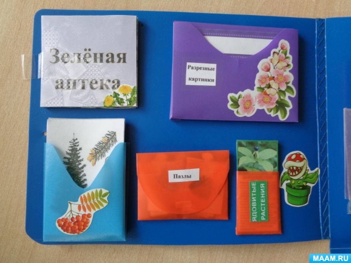 Смотреть фотографию №4 Фото №4 Публикация Лэпбук Природа Нижегородской области размещена в разделах Лэпбук