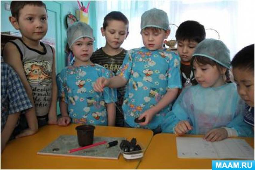 Смотреть фотографию №2 Фото №2 Продолжительность проекта средней продолжительности марта по апреля