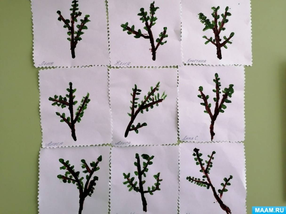Рисование Весеннее дерево в средней группе.