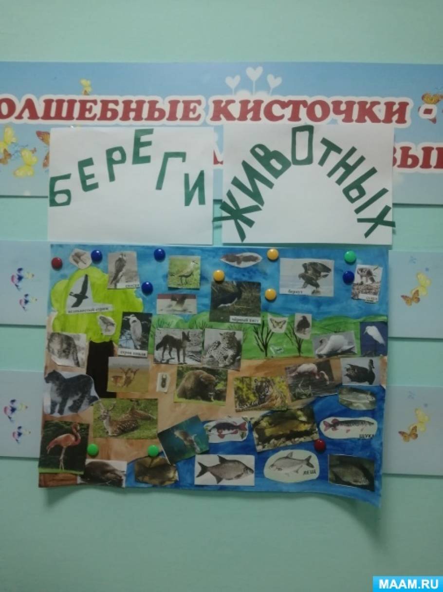 Стенгазета «Животные Алтайского края»
