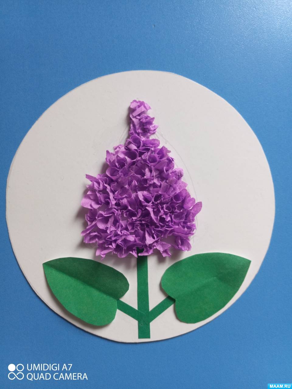 ������-����� �� ������������ �������� ������� �������