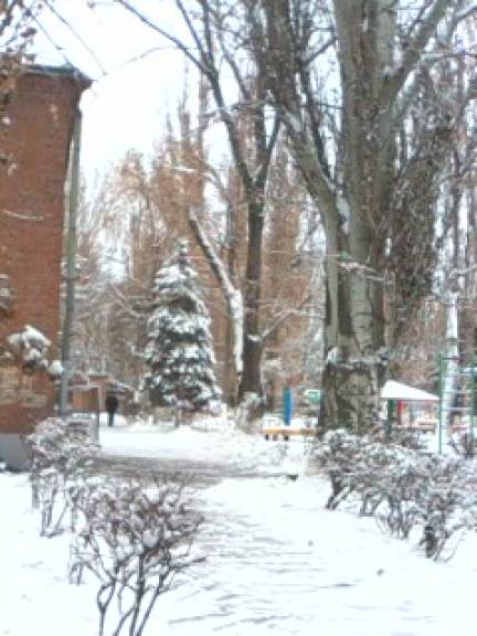 Фотоотчет «Здравствуй, зимушка-зима» Фото Фотоотчет «Здравствуй, зимушка-зима»