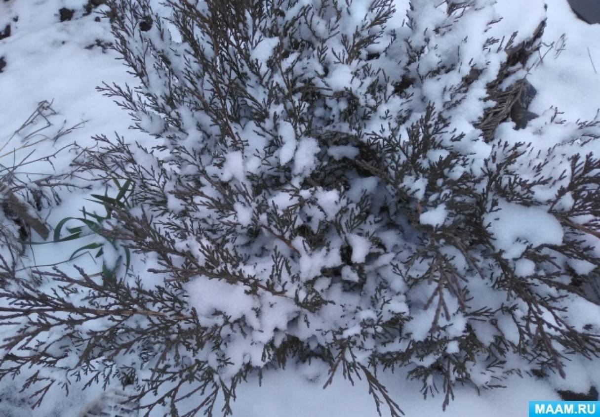 Смотреть фотографию №6 Фото №6 Владимир Смирнов Лариса Полева Сегодня марта