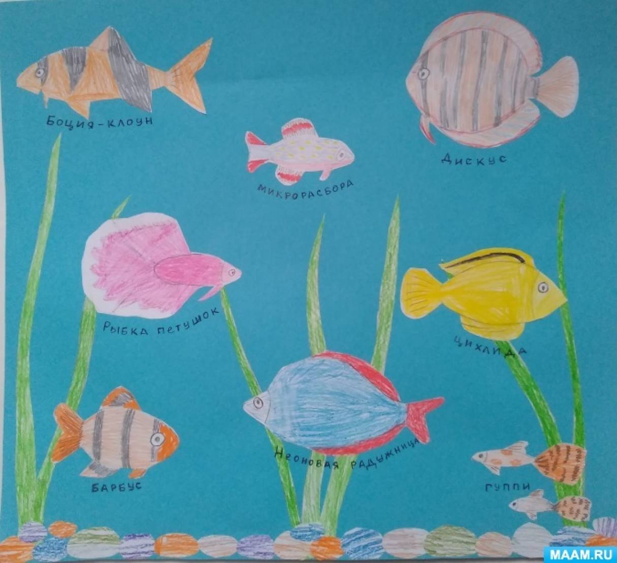 Сидим дома с пользой. Материал для бесед с детьми «Что мы знаем об аквариумных рыбках?»