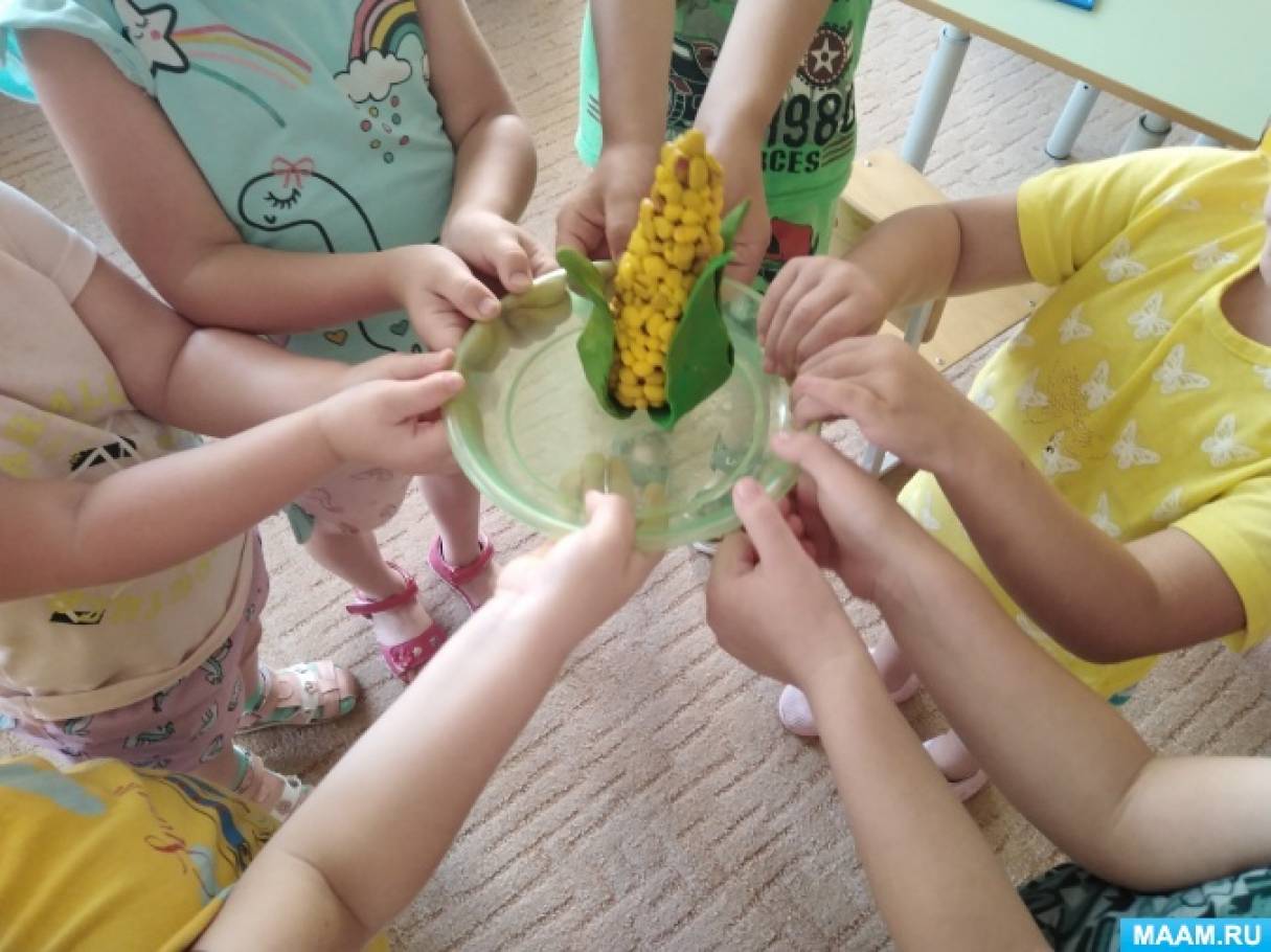 Кукуруза. Все о кукурузе для детей - Фотоотчёты. Воспитателям детских ...