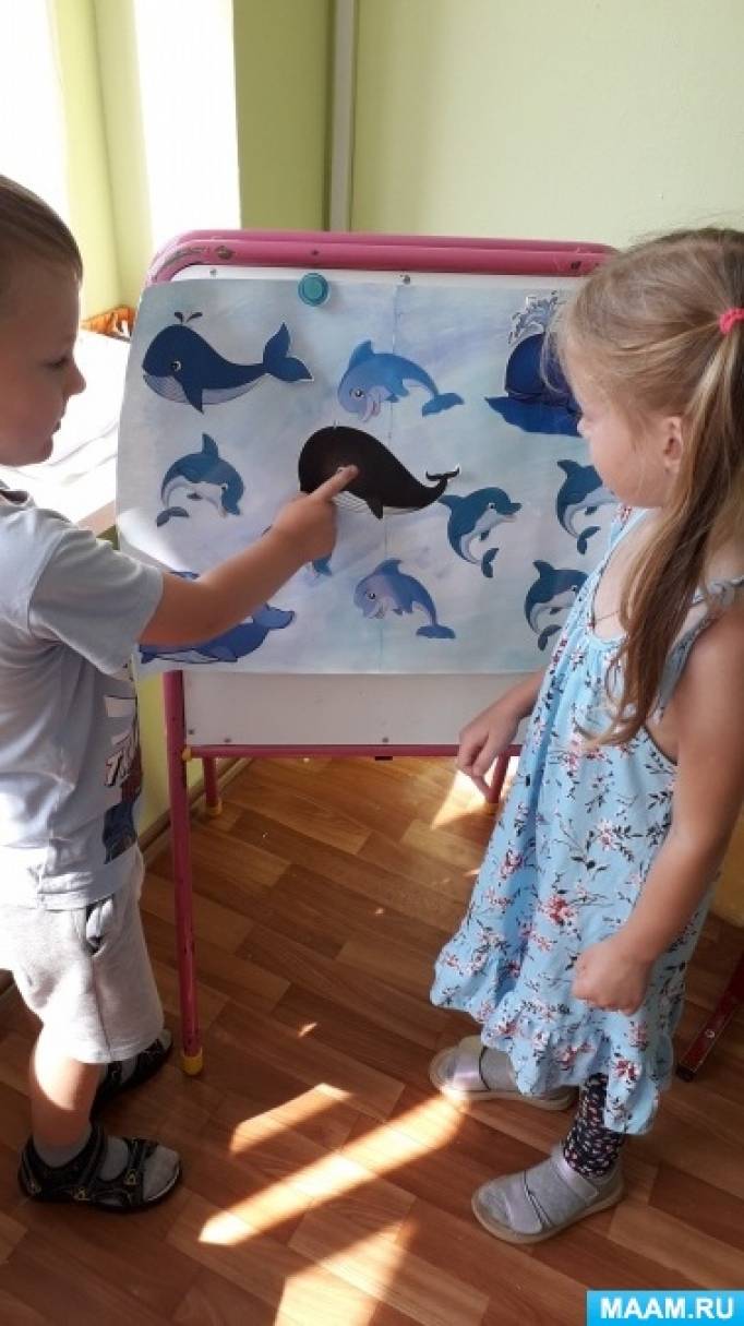 беседа всемирный день китов и дельфинов средняя группа. Смотреть фото беседа всемирный день китов и дельфинов средняя группа. Смотреть картинку беседа всемирный день китов и дельфинов средняя группа. Картинка про беседа всемирный день китов и дельфинов средняя группа. Фото беседа всемирный день китов и дельфинов средняя группа