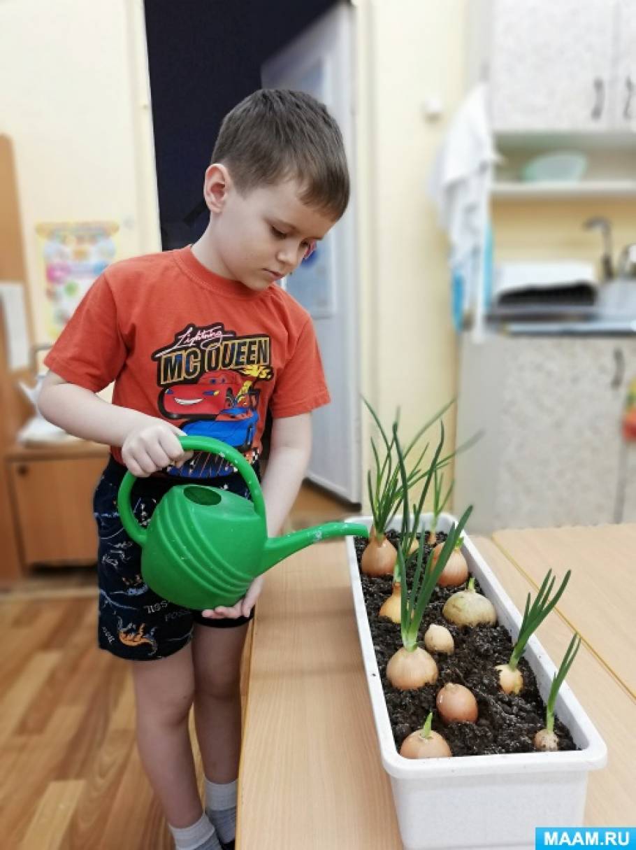 акция день добрых дел в школе. Смотреть фото акция день добрых дел в школе. Смотреть картинку акция день добрых дел в школе. Картинка про акция день добрых дел в школе. Фото акция день добрых дел в школе
