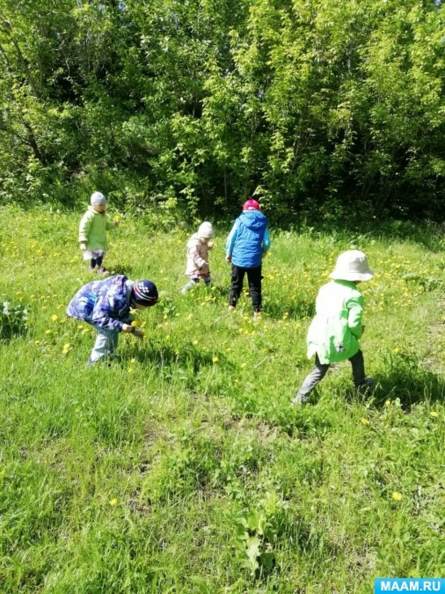 Фотоотчёт о прогулке в дошкольной группе «Одуванчики на поляне»