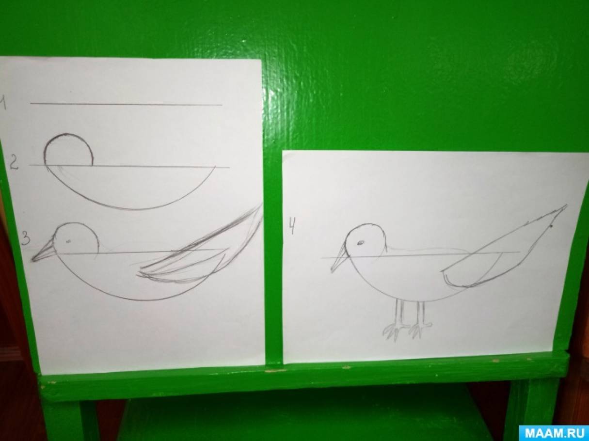 Занятие рисование перелетные птицы. Рисование перелетные птицы старшая группа. Рисования в старшейгруппе птицы перелетеые. Перелетные птицы рисование ср гр. Рисование перелетные птицы средняя группа.