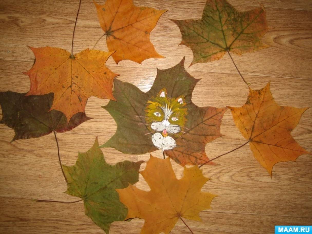 Рисование на кленовых листьях с детьми подготовительного к школе возраста «Кот Октябрь»