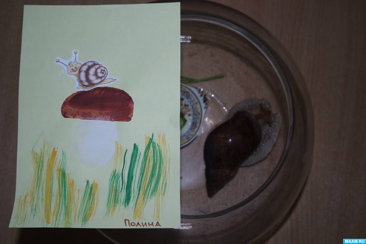 Занятие по рисованию с использованием штампа из картофеля «Угостим улитку грибочком» для детей 4 лет