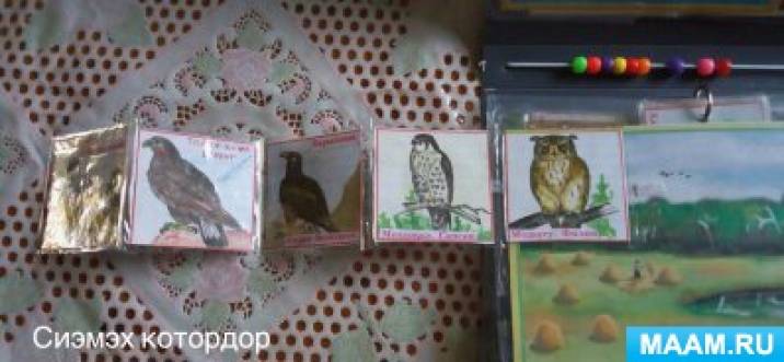 Лэпбук на якутском языке «Животные и растения Якутии» Фото Лэпбук на якутском языке «Животные и растения Якутии»