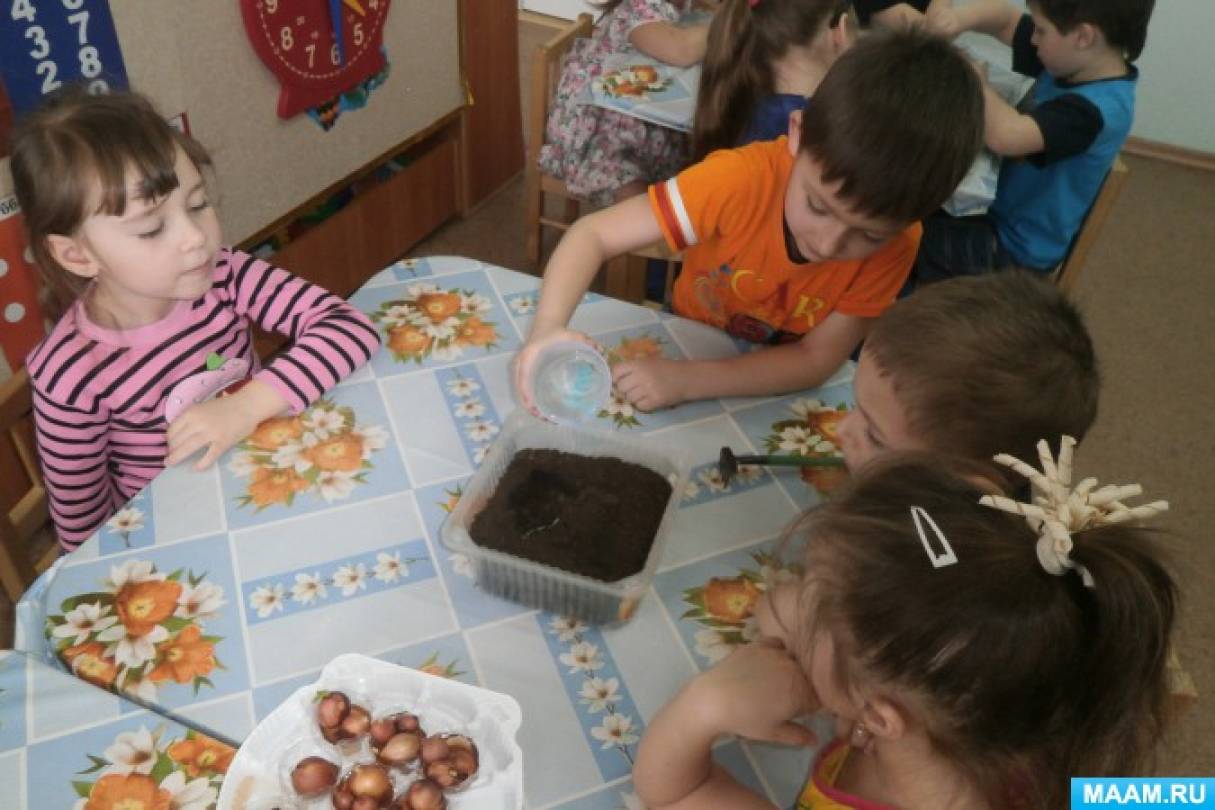 занятие что растет на огороде. занятие что растет на огороде фото. картинка занятие что растет на огороде. смотреть фото занятие что растет на огороде. смотреть картинку занятие что растет на огороде.