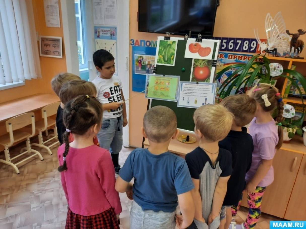 Фото №5 Все на овощную тему для детей Овощи