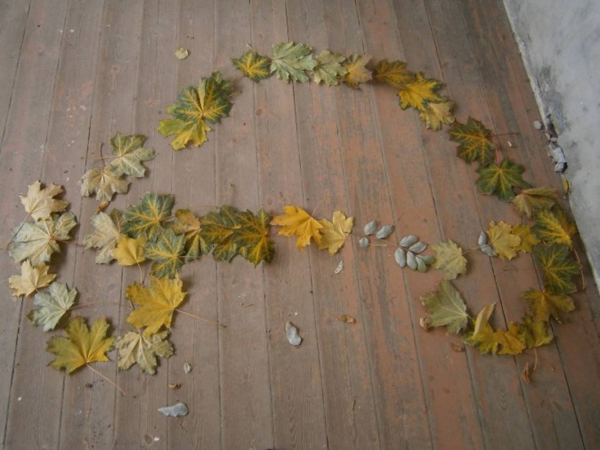 Лист каштана фото рисунок detsad 139617 1447253071 Домострой