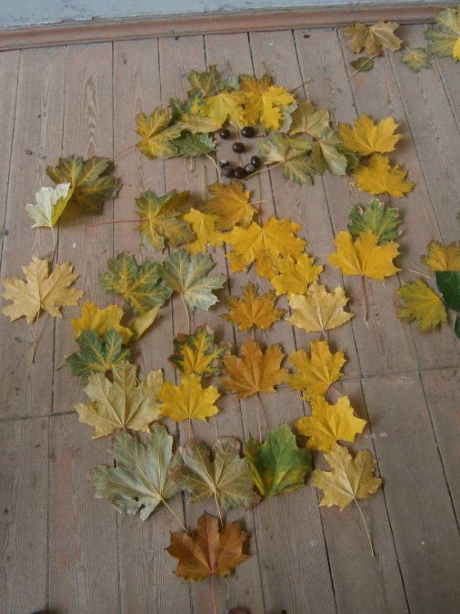 Лист каштана фото рисунок detsad 139617 1447253203 Домострой