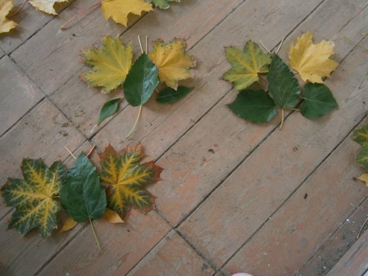 Лист каштана фото рисунок detsad 139617 1447253347 Домострой