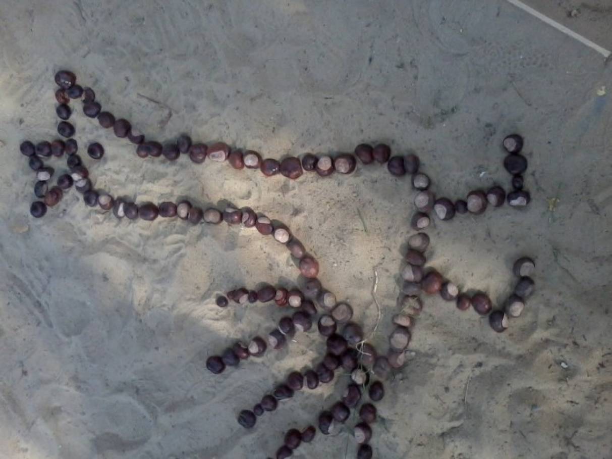 Лист каштана фото рисунок detsad 139617 1447254279 Домострой