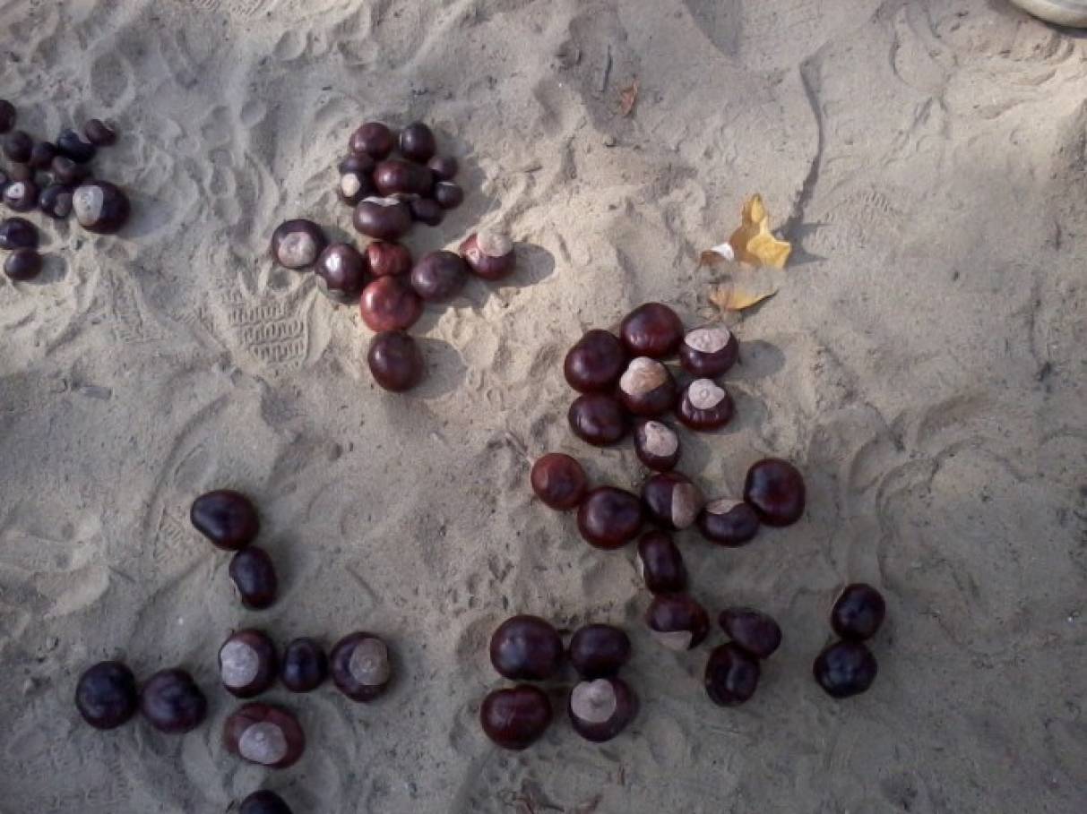 Лист каштана фото рисунок detsad 139617 1447254332 Домострой