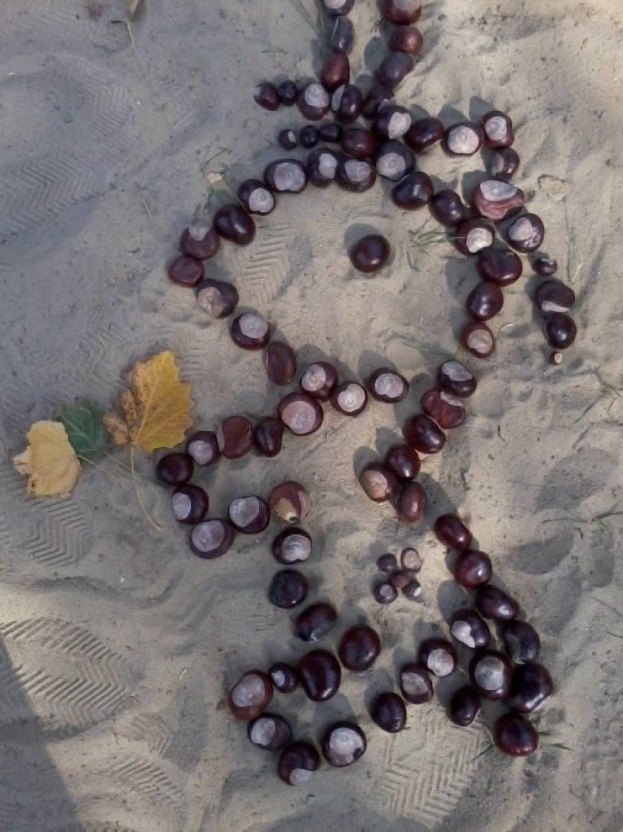 Лист каштана фото рисунок detsad 139617 1447254472 Домострой